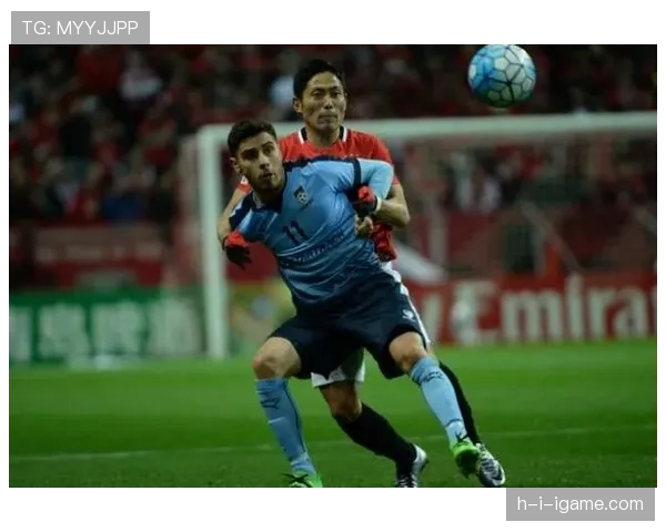 J1联赛浦和红钻 J1联赛浦和红钻